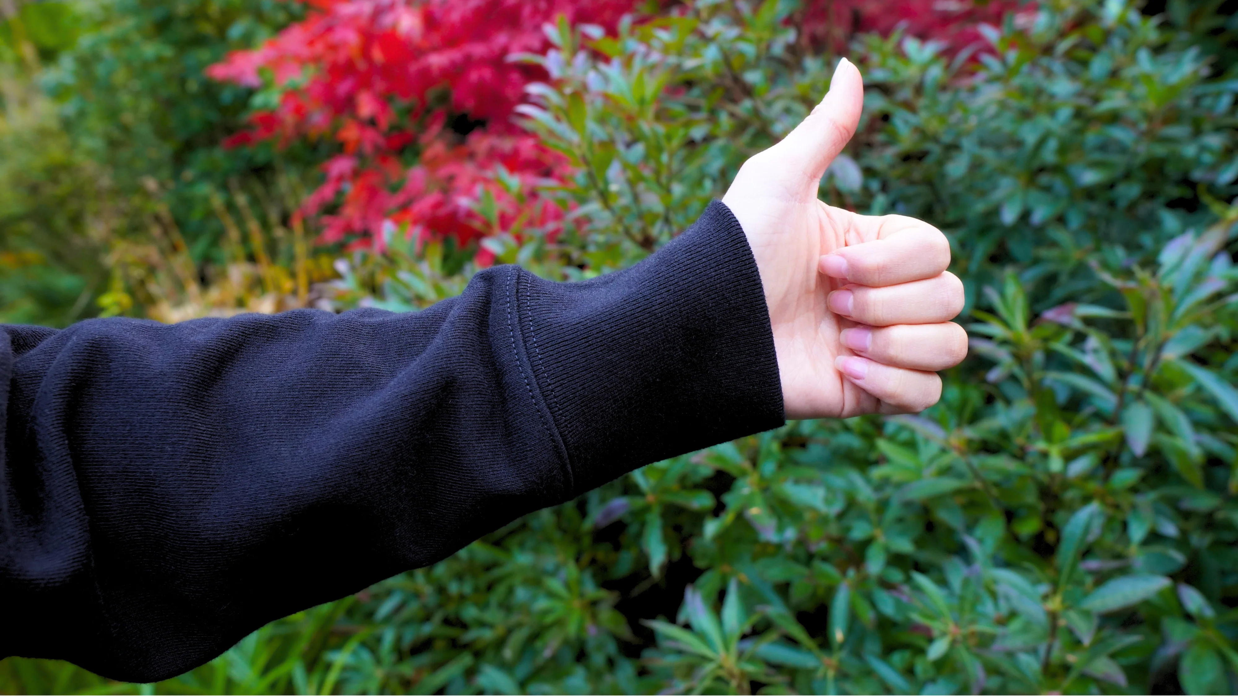 The Black IFO Hoodie - Image 4
